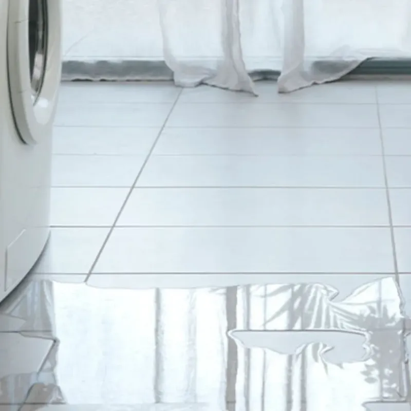 Appliance Leak Cleanup in Edmonds, WA